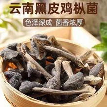 精选黑皮鸡枞菌干货云南鸡纵菌新鲜特产野生菌火锅食材煲汤材料