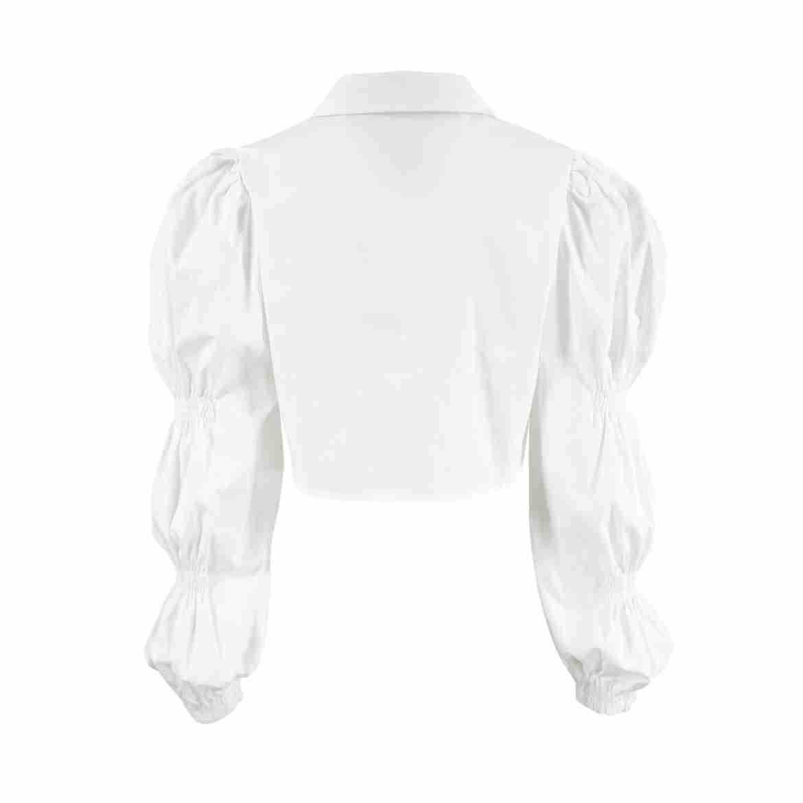 Femmes Chemisière Manche Longue Blouses Popover Décontractée Élégant Couleur Unie display picture 13