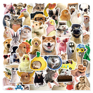 50 Realistic Pet Puppy and Kitten Stickers to Decorate Handbags, Suitcases, Laptops, Waterproof Stickers, Animals
