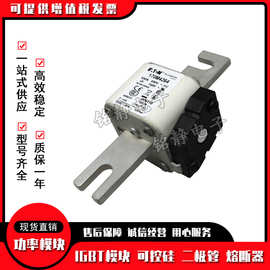 170M4208 170M4209 170M4210 170M4211 170M4212熔断器170M4213