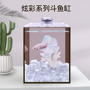 ~׳ײɫ~С愓ˮxֳŲʸ