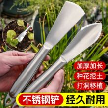 一体不锈钢铲子园艺种花工具挖土挖野菜家用赶海铁铲神器种菜农用