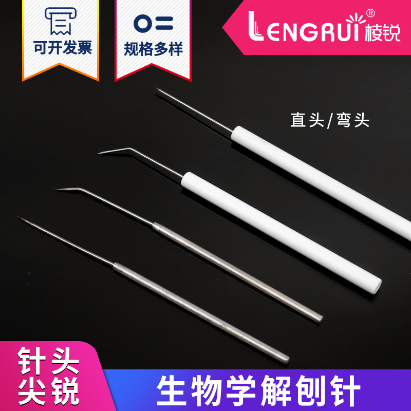 不锈钢中学生物实验探针 昆虫解剖针 直尖弯头教学解剖工具