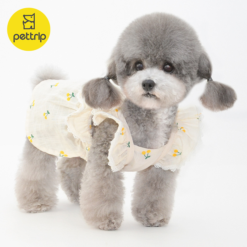 pettrip 베투 봄 여름 애완 동물 스커트 개 스커트 고양이 스커트 새끼 고양이 스커트 애완 동물 옷 개 옷