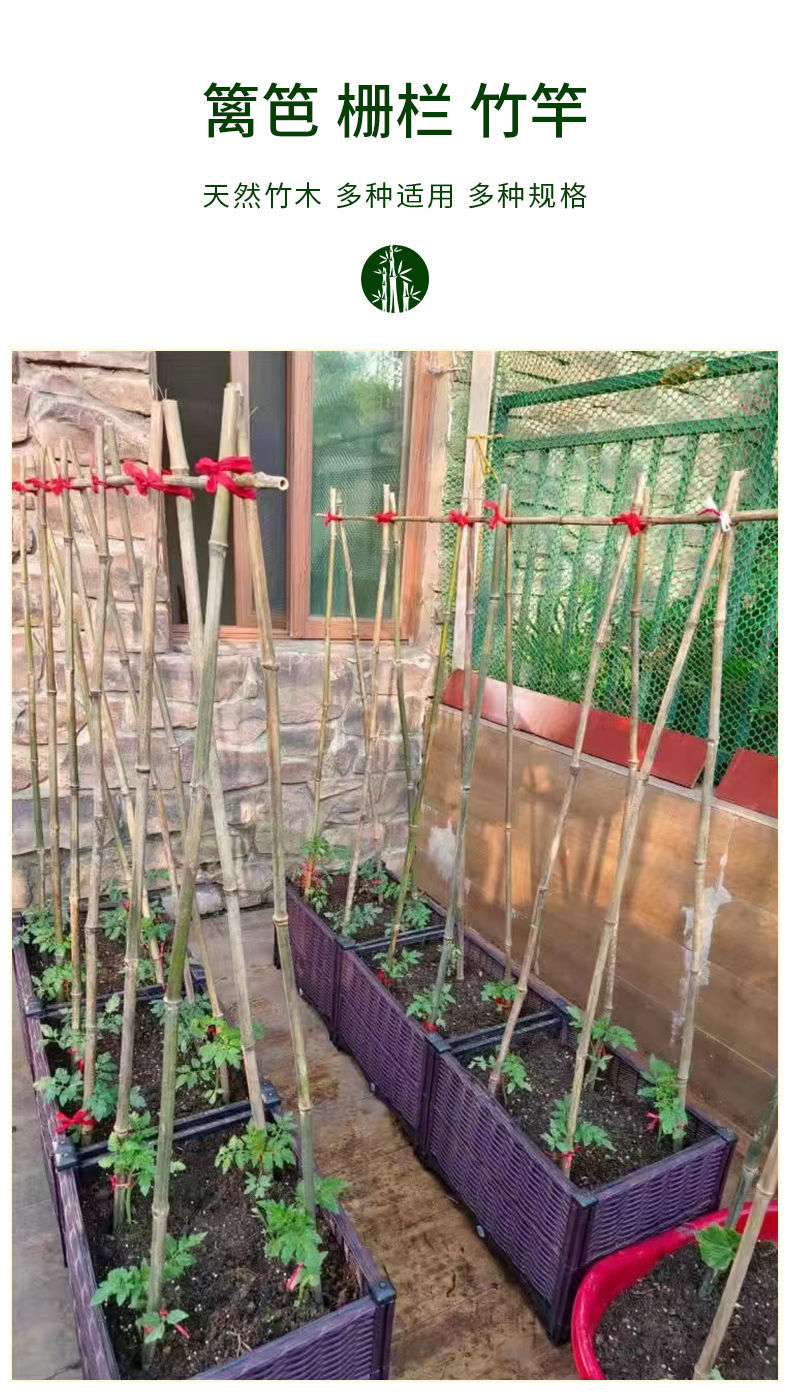竹竿菜园搭架黄瓜豆角西红柿辣椒搭架蔬菜爬藤架子彩旗旗杆竹竿舞-阿里巴巴