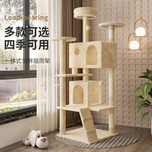 Ȥζ؈���� 2026�¿�؈��؈�������ץ�����팙����Ʒ�F؛���l