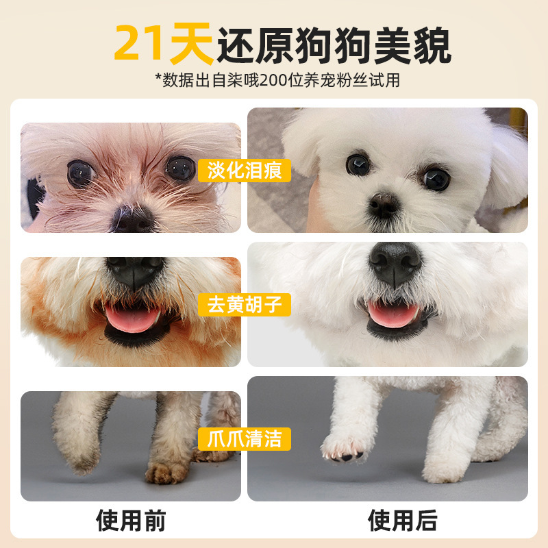 Qi Oh ペット 高性能イオン水 犬専用 洗い流さないシャワージェル 口洗浄 黄色ひげ消臭剤|undefined