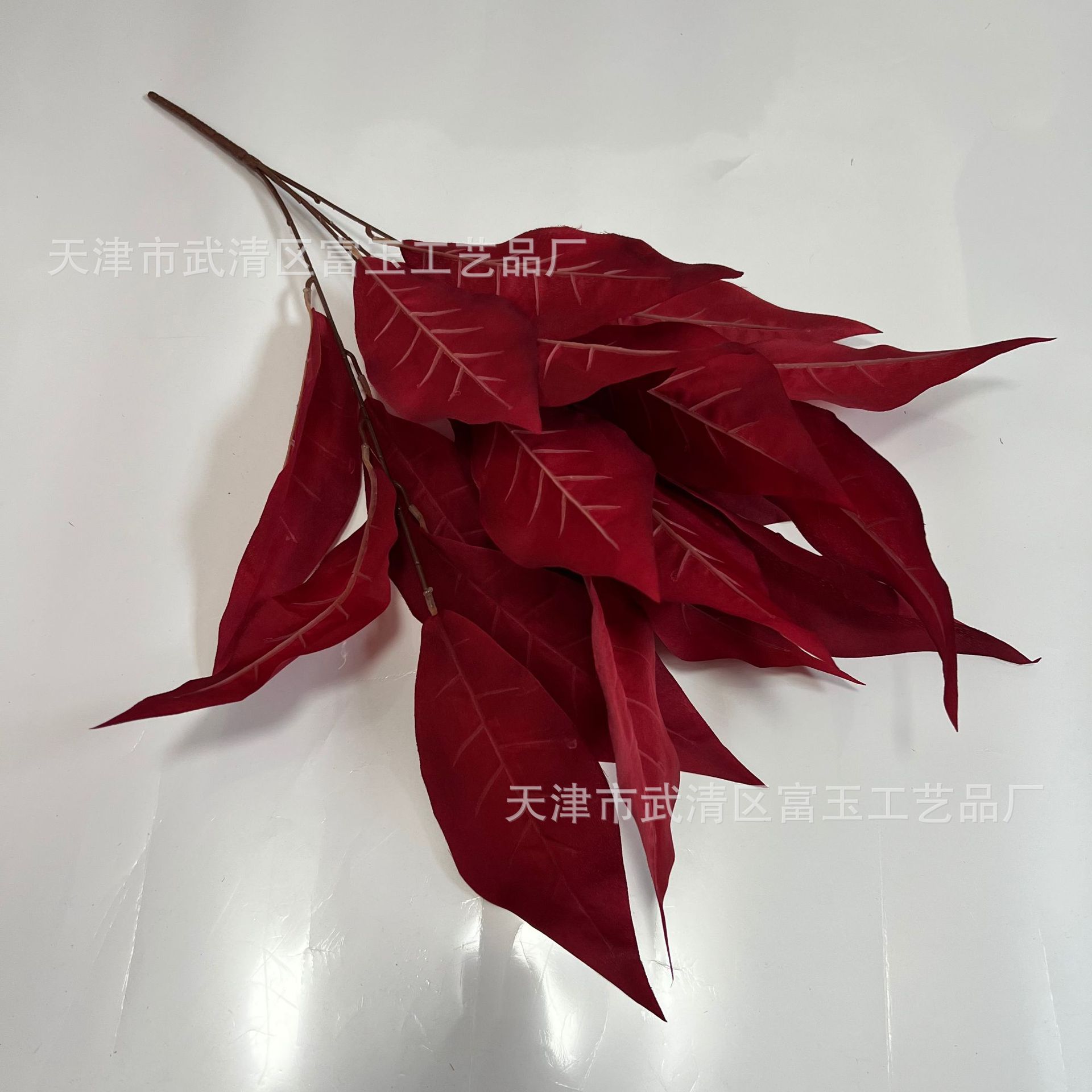 주홍색