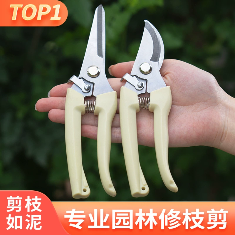 Импортные садовые секаторы, садовые ножницы, обрезка цветочных веток, ножницы для рукоделия, зеленые растения, ножницы для цветов, обрезка веток, обрезка листьев, универсальные