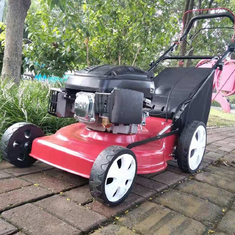 厂家批发汽油自走式草坪用推草机 新款现货小型手推足球场割草机