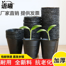 育苗杯育苗盆育苗袋营养钵育苗营养杯加厚多肉盆一次性花盆麦太保