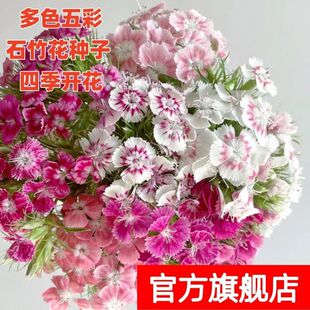 �������ʯ��N���ذ갫���ͺ��͟���լ����ͥԺ�����׻�ܷN��