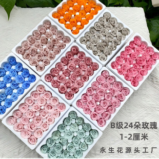 ����������Сõ�廨�^Ʒ�|B+1-2������Ϧ�}�Q���Y�ﻨ��DIY����