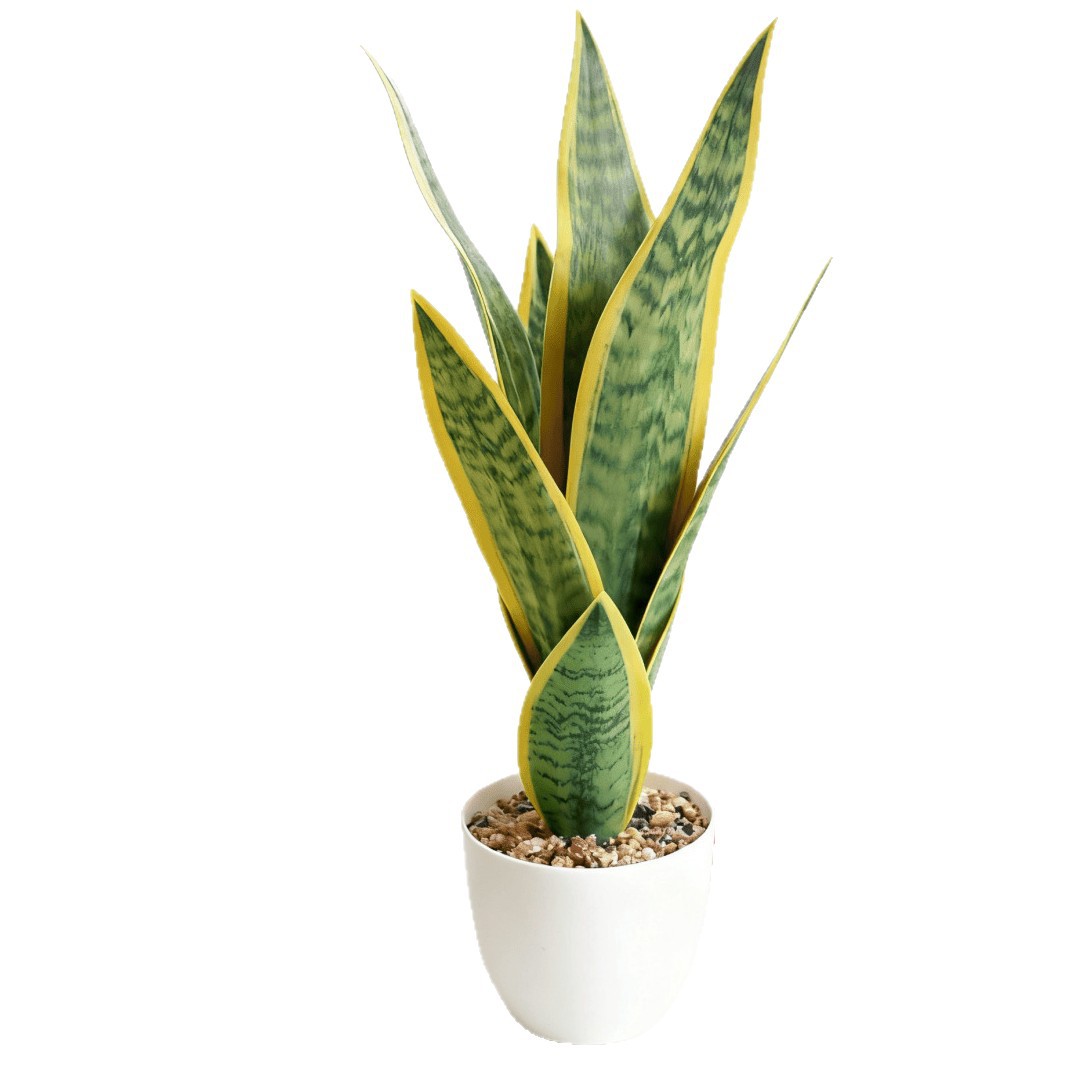 Flor falsa de alta gama tigre Piran hoja bonsai flor artificial moda decoración creativa planta verde artificial simulación planta en maceta image 6