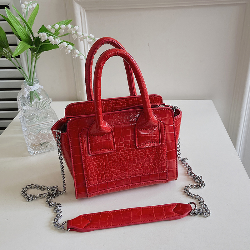 European and American retro stone pattern foreign style wing bag 2024 new autumn versatile chain trendy shoulder crossbody women's bag_voghion.com