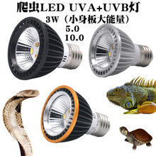 爬宠箱鬃蜥蜴uvb+uva乌龟晒背灯全光谱灯龟缸补钙太阳灯LED3W灯泡