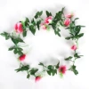 10 small rose red rose vine