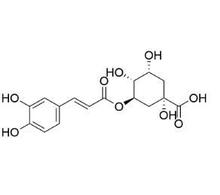 綠原酸 ;3-咖啡酰奎尼酸 Cas號: 327-97-9