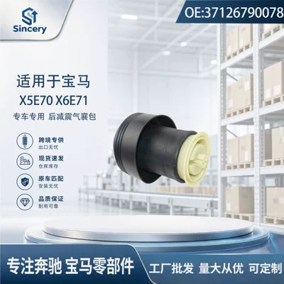 Suspension and Shock Absorber Systems E70 X6 E71 E72