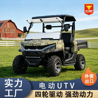 Electric four-wheel drive UTV all-terrain Elektrikli qolf avtomobilləri