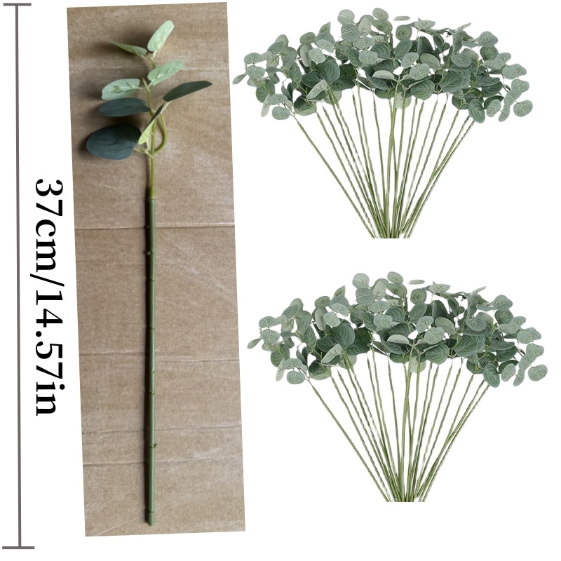 돈잎 가지 두꺼운 줄기