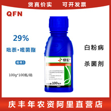 �����_ �G�� �S�����ϰ׷۲� �����������׾����rș������100ml