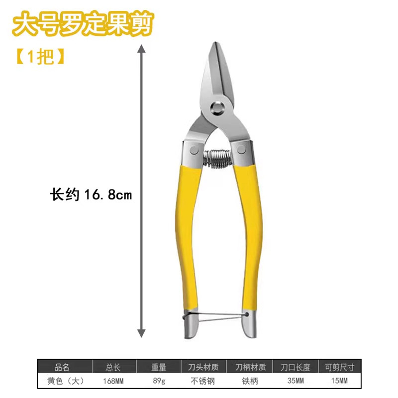 亚马逊园艺修枝剪刀园林修花盆栽摘果专用果园柑橘摘葡萄罗定果剪|undefined