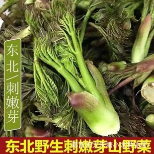 �|������ѿ�N�Ӵ���ѿ�N�Ӵ��ϰ��N�Ӵ̰�ѿ�N����ɫ�߲˷N��Ұ��