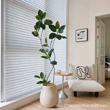 楼夏家室内仿真绿植孟加拉榕客厅落地沙发旁仿生假植物树装饰摆件