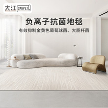 威尔顿机织意式极简地毯客厅轻奢高级卧室家用沙发耐脏易打理地垫