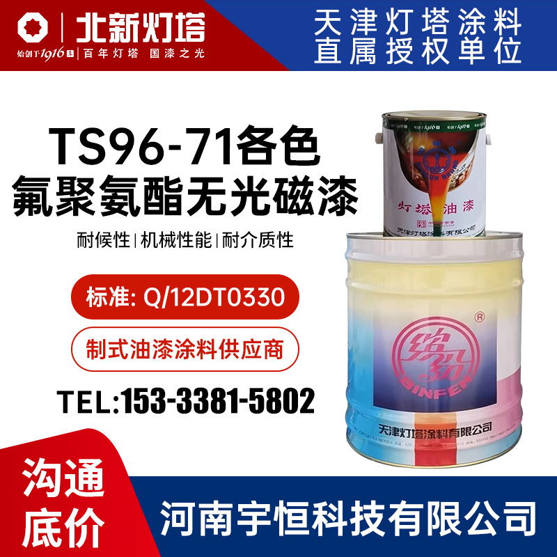 TS96-71各色氟聚氨酯无光磁漆 灯塔 用于飞机及钢结构 车辆等保护
