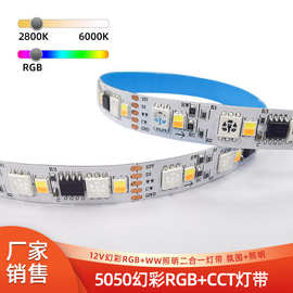 12V24V幻彩RGBCCT灯条色温可调节白光流水跑马墙角氛围照明智能