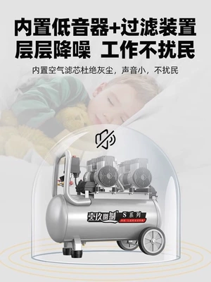 Hava kompressorları — 220V Portable Air Pump