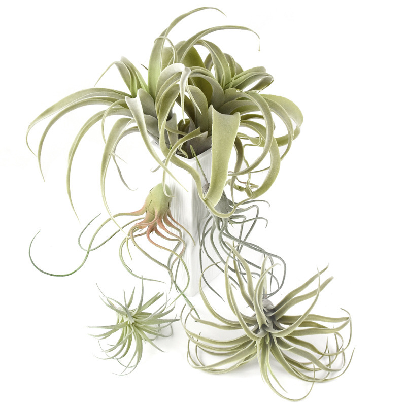 Artificial Air Plant Plastic Plant with Hairy Air Grass Indoor Succulent Hanging Vine Decorative Green Plant Landscape Fake Flower Factory Artificial Air Plant Plastic Plant with Hairy Air Grass Indoor Succulent Hanging Vine Decorative Green Plant Landscape Fake Flower Factory