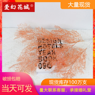 滨6FcPβ~Fڡb廨ᘲݼٻ컨