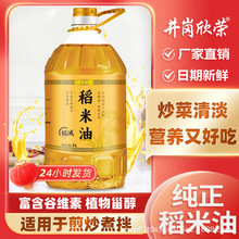 纯米糠油稻米油5L谷维素食用厂家工厂批发直销家用商用非转基因油