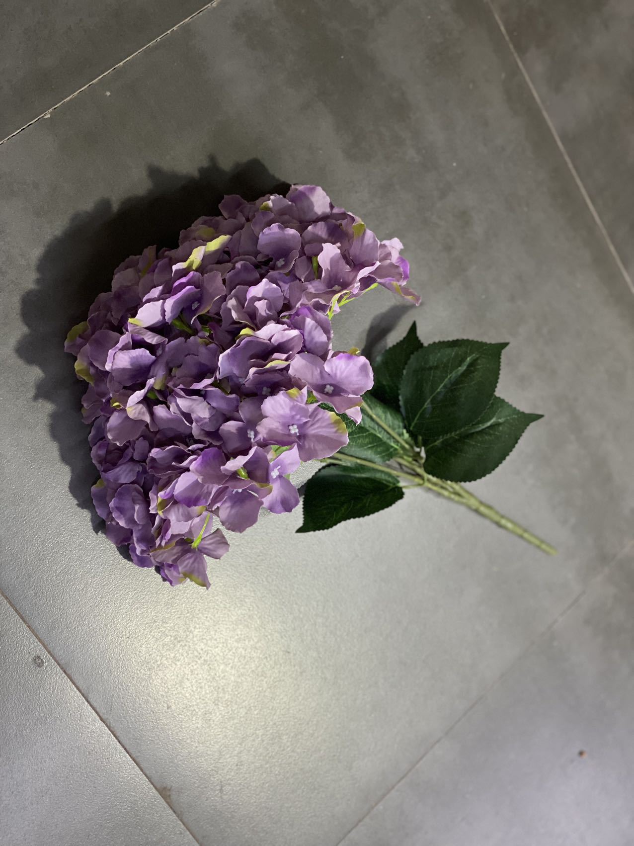 보라색