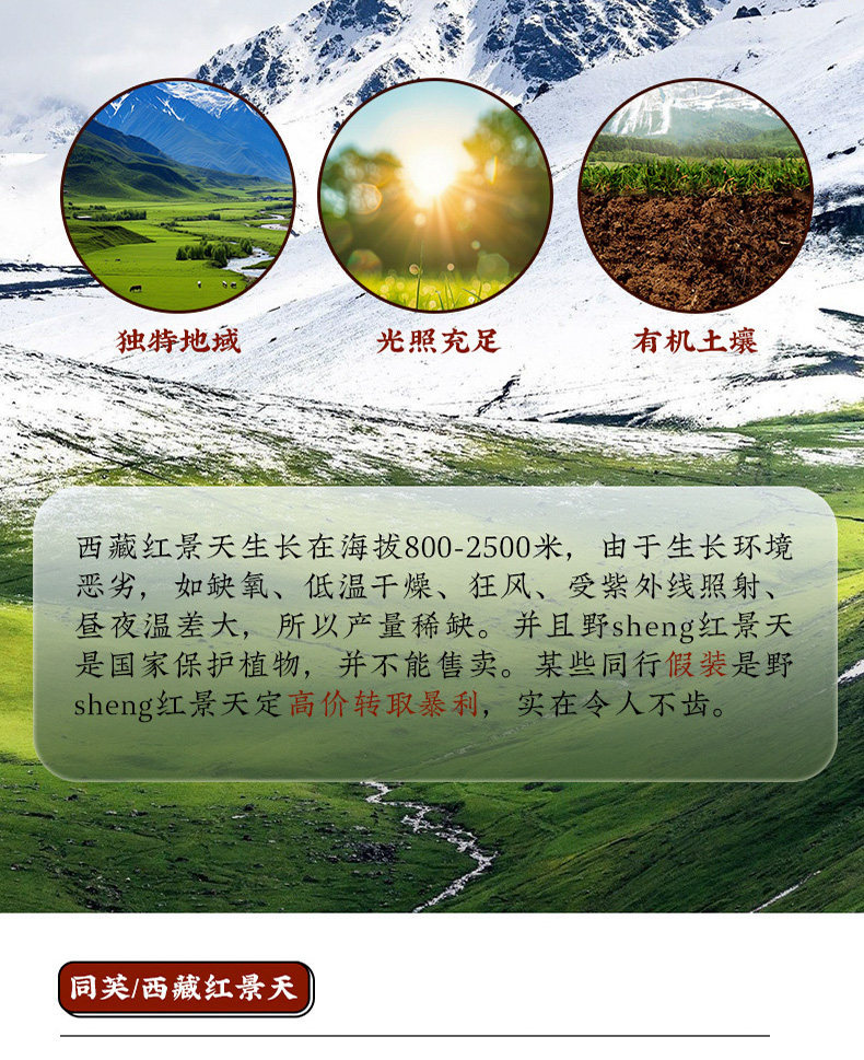 Rhodiola Root Slices Hong Jing Tian 500g Dried Wild Tibetan Rhodiola Herbal Tea Slices key features