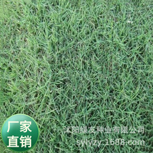 ���l��ƺ�N�ӹ����� �� �������ֽ����ò�  �͸���  �F����