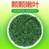 Green Tea wholesale Tea garden Straight hair 1 Tea Guizhou Alpine Clouds Maojian bulk Spring 1000g wholesale