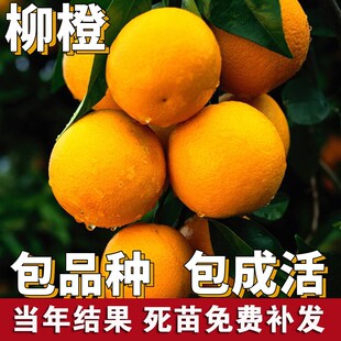 һ�����l���Ә���޽ӹ�������ָ̻ʵ۸̘���t���˗ո̘����N