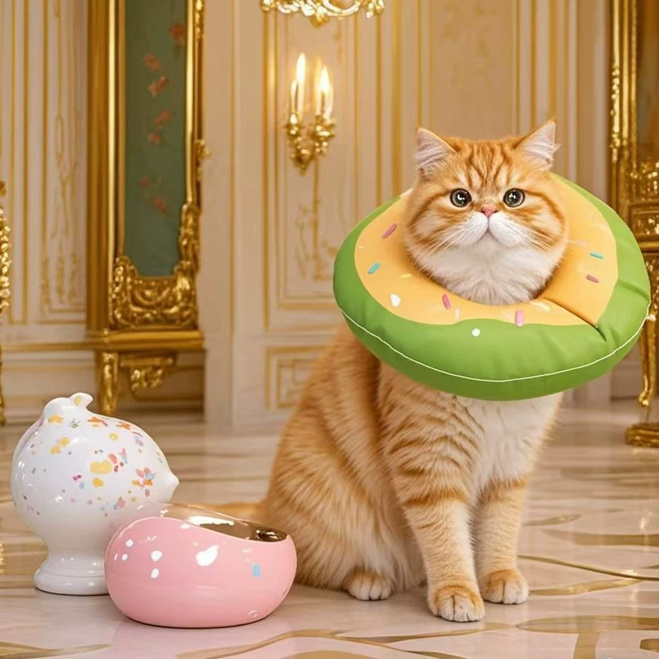 Кошка Элизабет кружок кот стерилизация нагрудник позора котенок котенок котенок котенок котенок котенок кошачий кружок