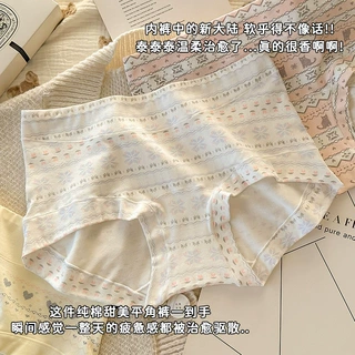 费尔岛风女生小平角纯棉内裤女中腰全棉10A抗菌加长裆女士批发