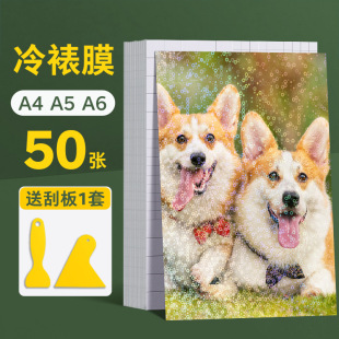 Cold LAminAting Film Photo Protective Film Self-seAling LeAf Self-Adhesive High-gloss A4 PlAstic SeAling Film LAser A5 Specimen Film
