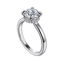 IGI�C18K�׽��A��荽�Ů����ӆ��Y���ָ�����荽���1�����