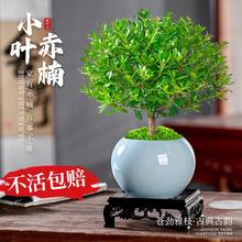 С�~����辰�Ϙ�ֲ���k���҃ȾGֲ�����̨���B��̴���滨�ܔ[��