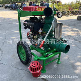 手推双叶轮高压泵图片 195风冷柴油水泵 带喷枪滴管微喷水泵