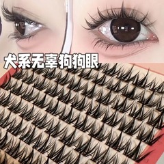大容量の犬はつけまつげを結びます。