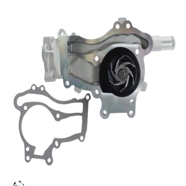 Aw6662 Is Suitable for Carros Car Water Pump Dolz:O-267 1334128 55579016 555