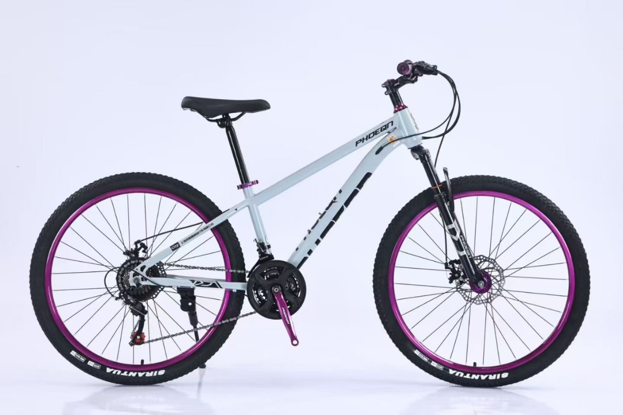 Fábrica de cabello recto, 26 pulgadas, bicicleta de montaña, 21 velocidades, coches de montaña para estudiantes de sexo masculino y femenino.